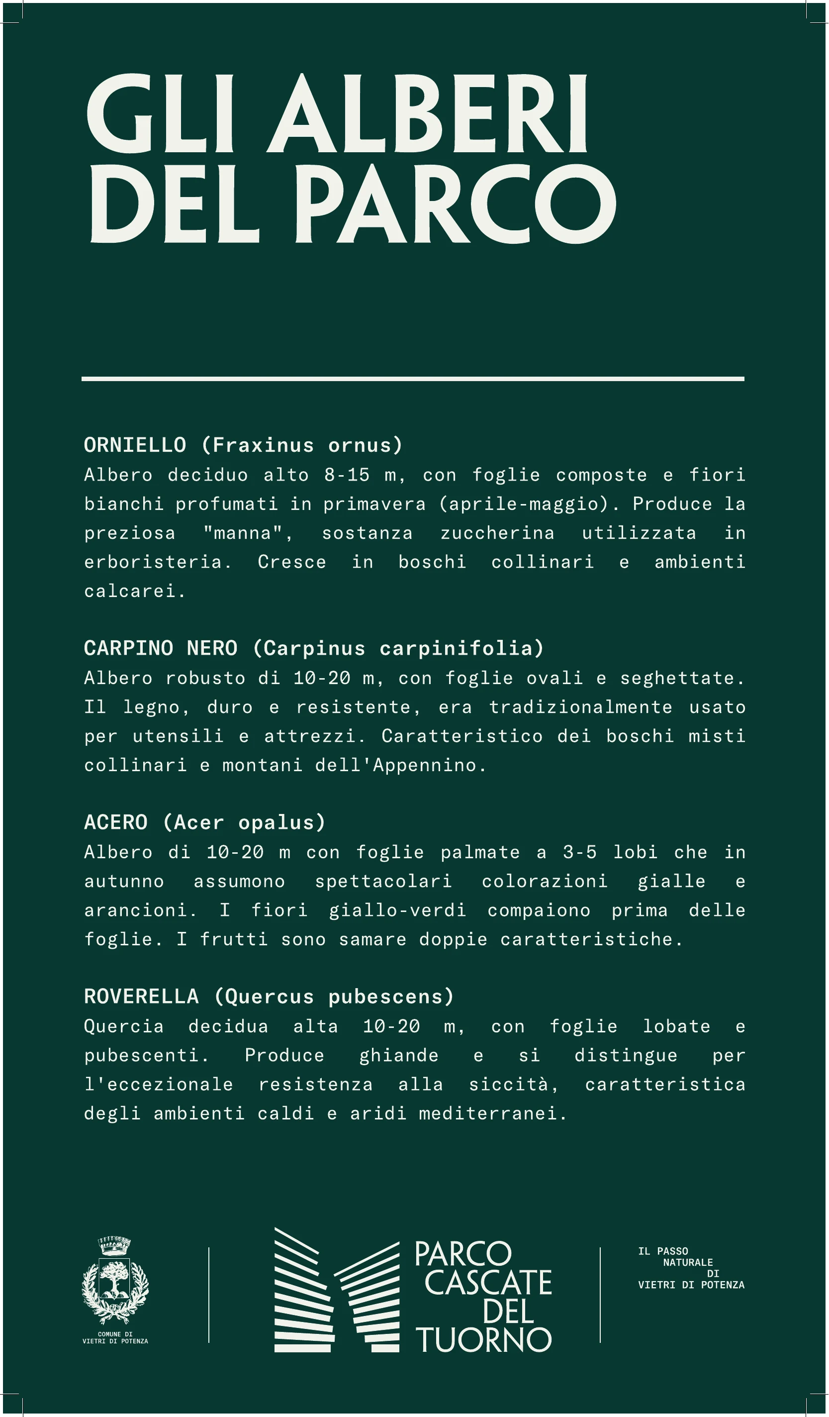 Pannello ufficiale sugli alberi del Parco