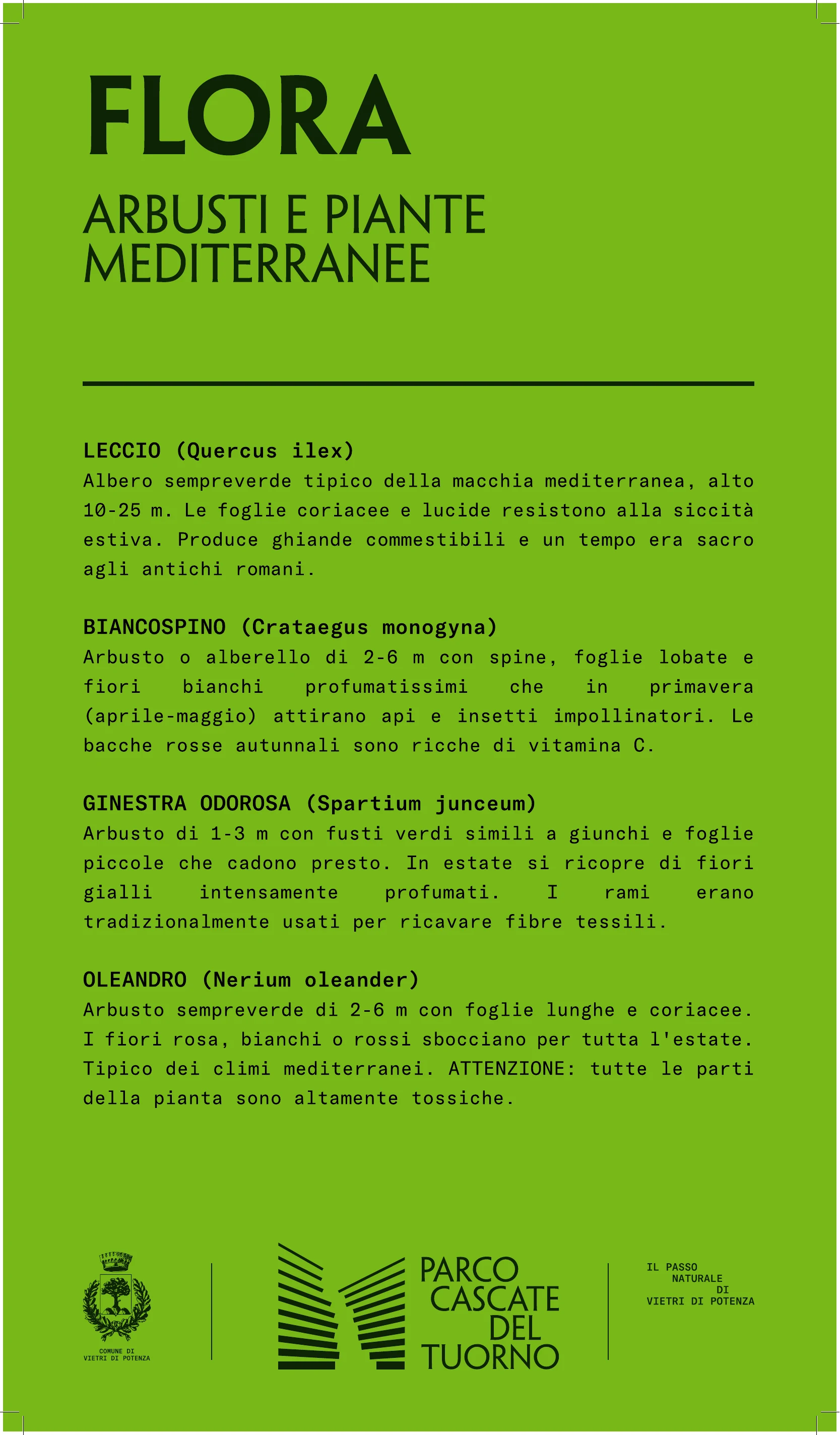 Pannello ufficiale sulla flora