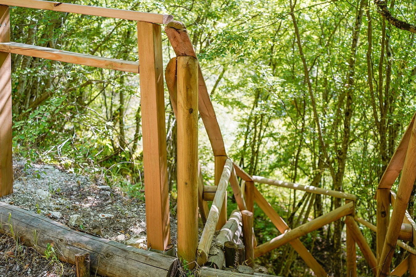Scalinata attrezzata nel bosco