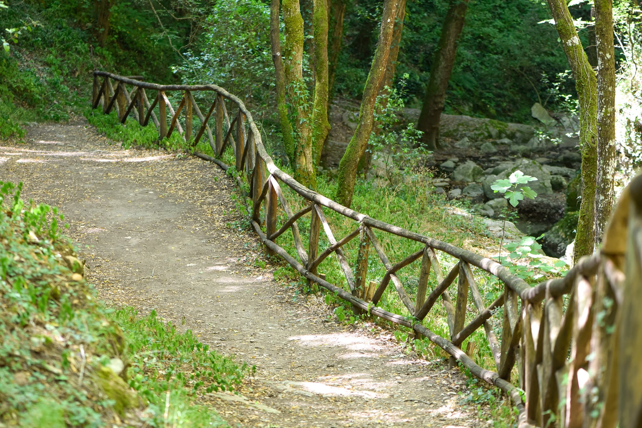 Sentiero con parapetto nel bosco