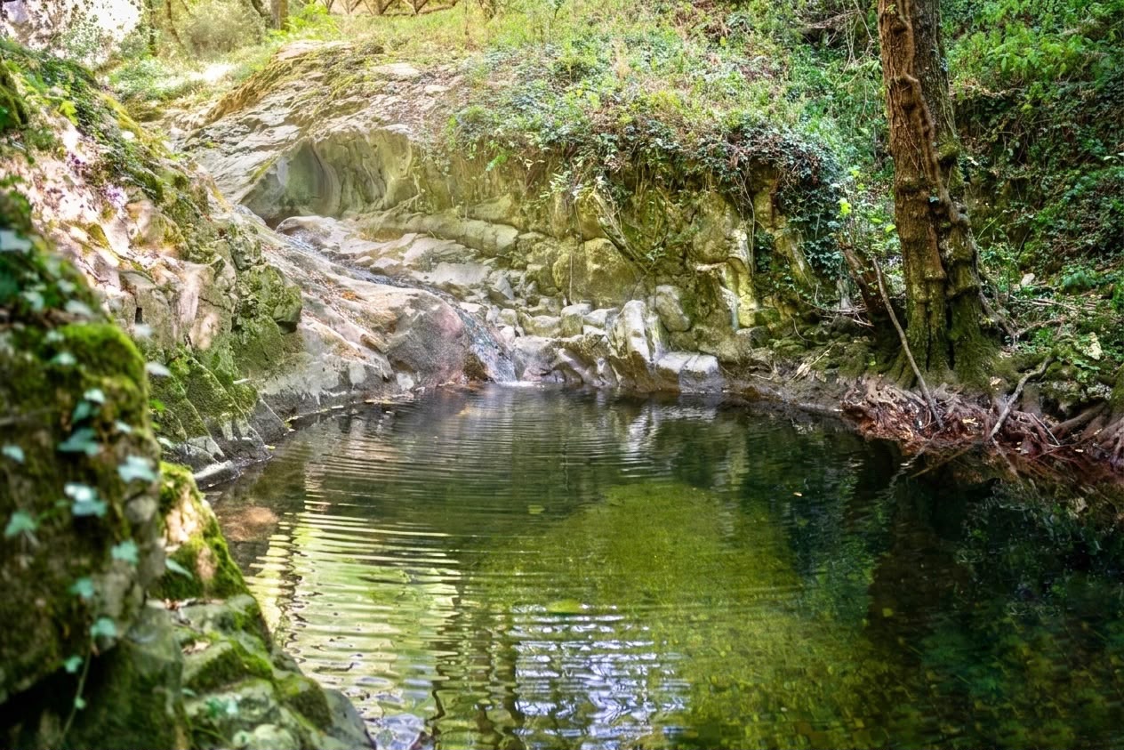 Conca naturale nel bosco