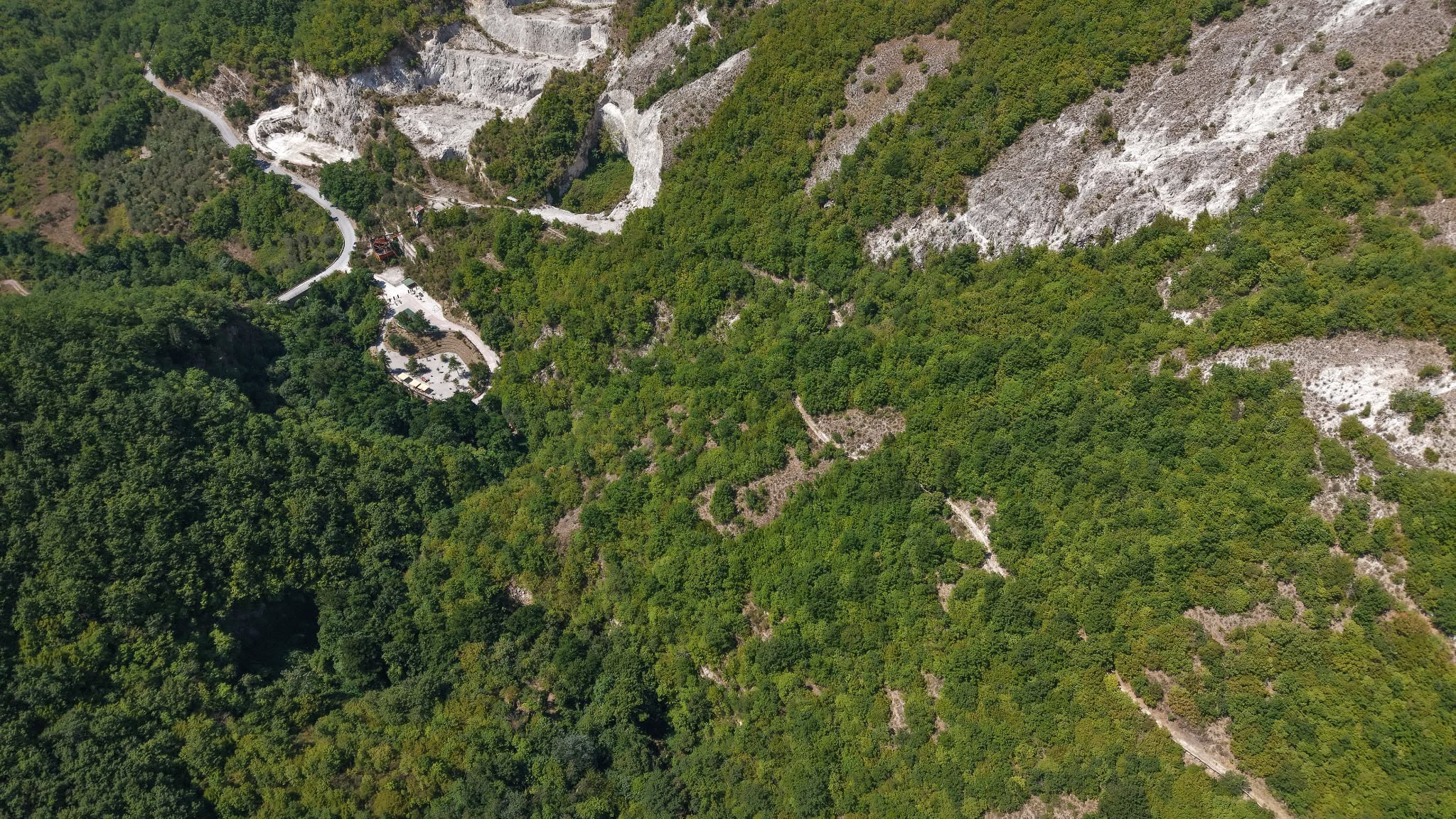 Panorama aereo del parco e del bosco