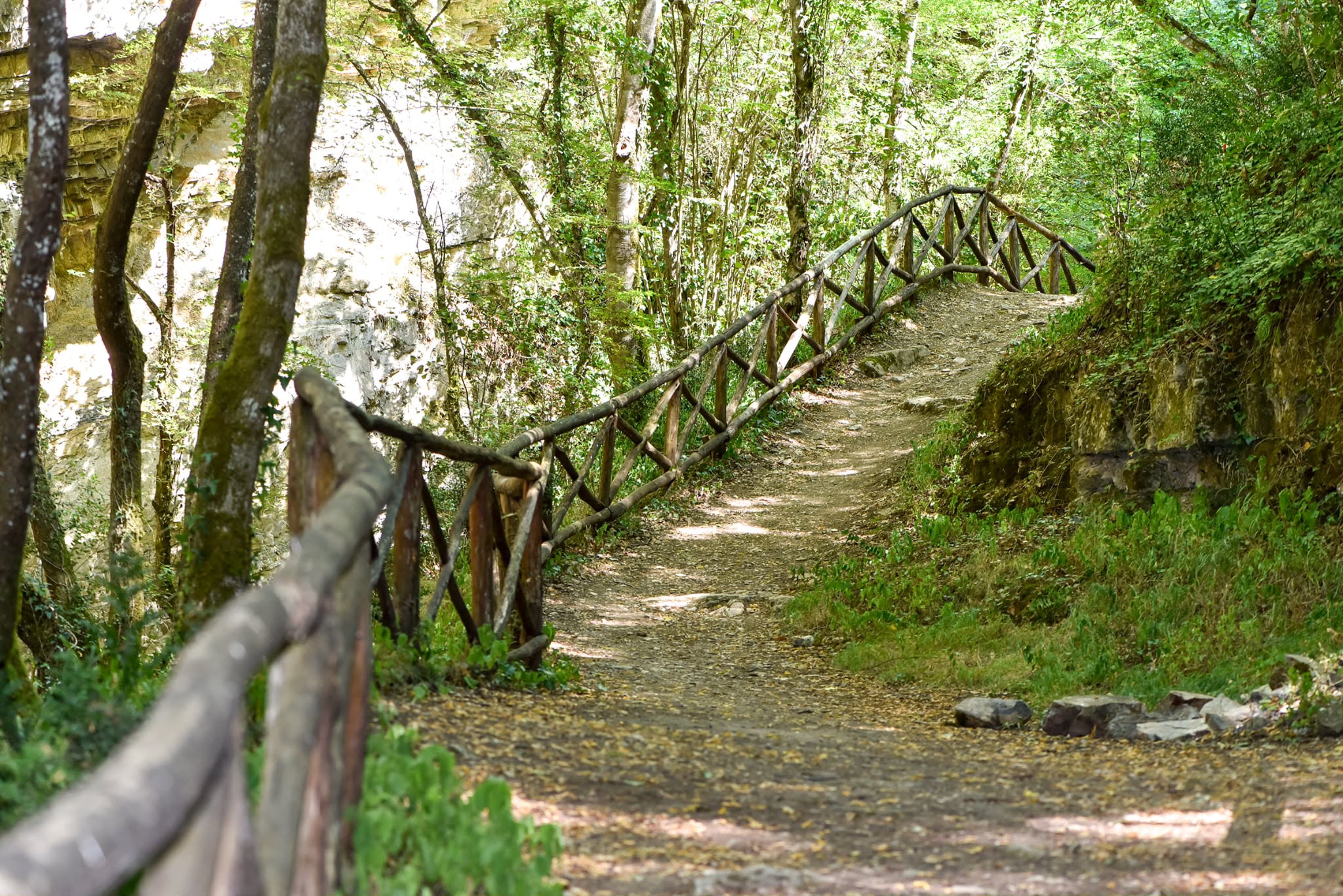 Sentiero e protezioni tra gli alberi